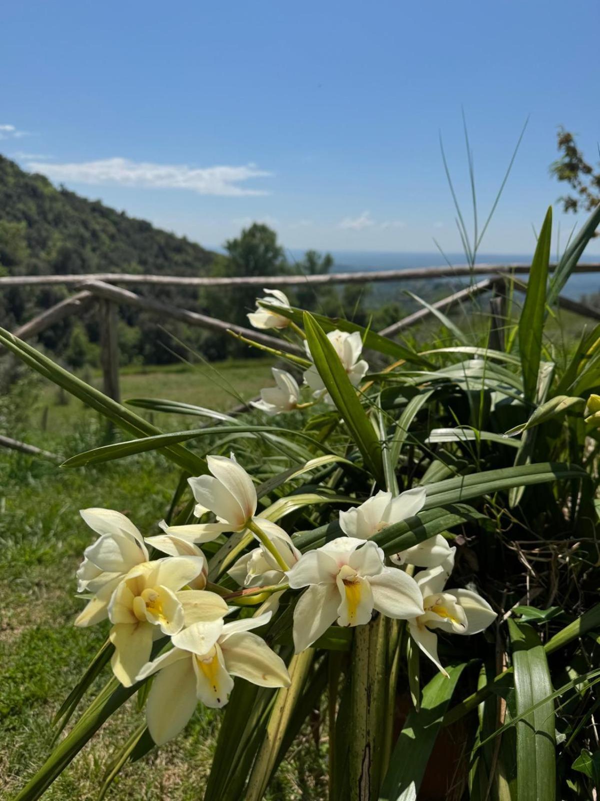 Willa Casa Franceschini Poggio Mirteto Zewnętrze zdjęcie