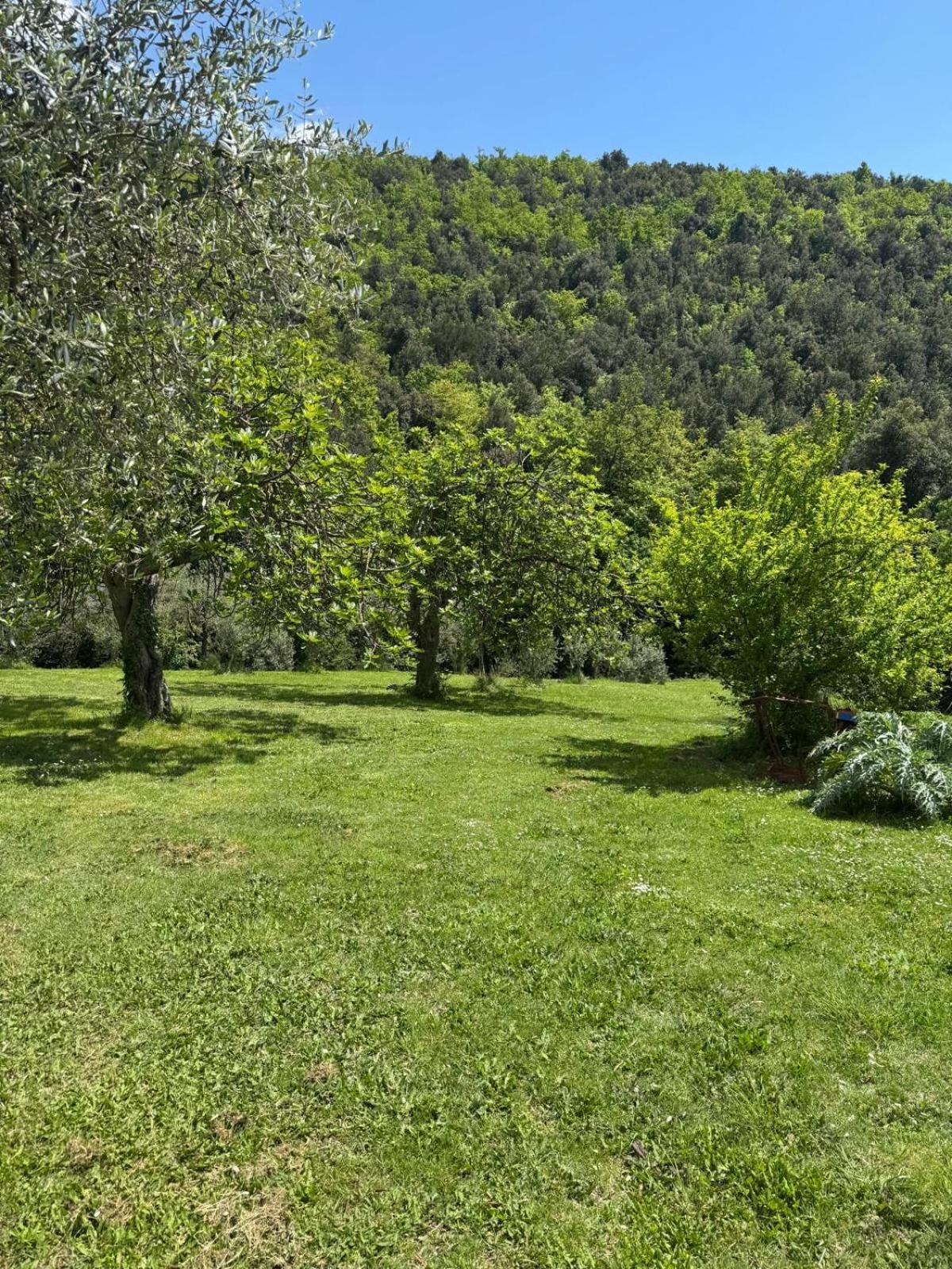 Willa Casa Franceschini Poggio Mirteto Zewnętrze zdjęcie