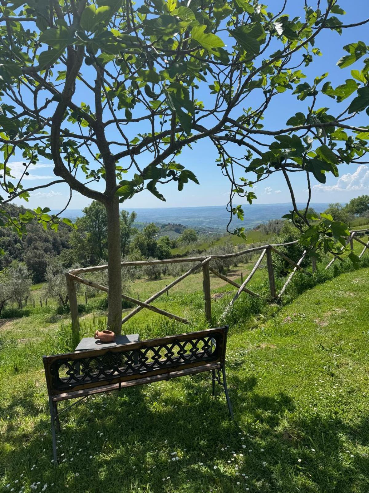 Willa Casa Franceschini Poggio Mirteto Zewnętrze zdjęcie